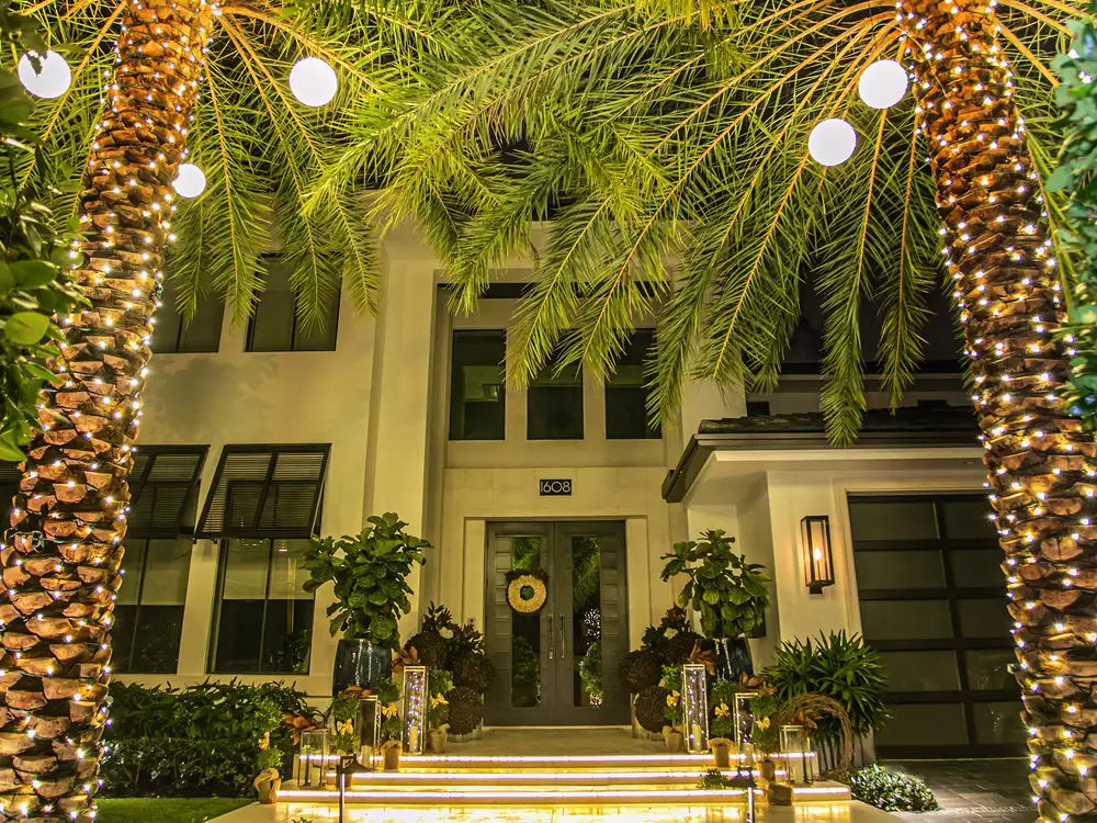 The entry of a modern home framed by two palms wrapped in lights, with globe lights in the fronds and step lighting along the walkway